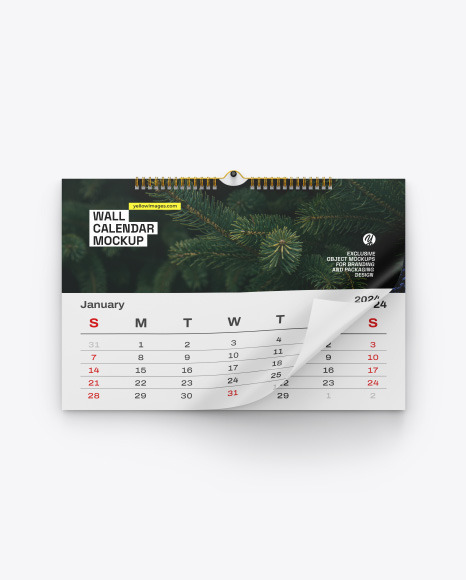 Wall Calendar Mockup