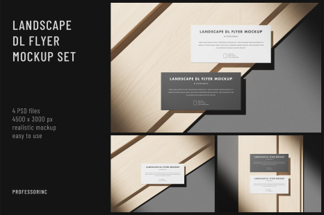 Landscape DL Flyer Mockup Set