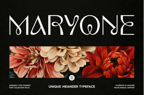 Maryone - Unique Meander Typeface