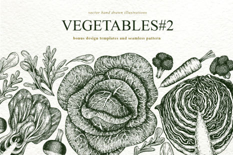 Vegetable Vector Collection#2