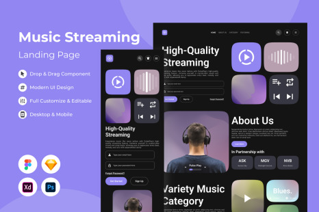 Pulse Play - Music Streaming Landing Page V1