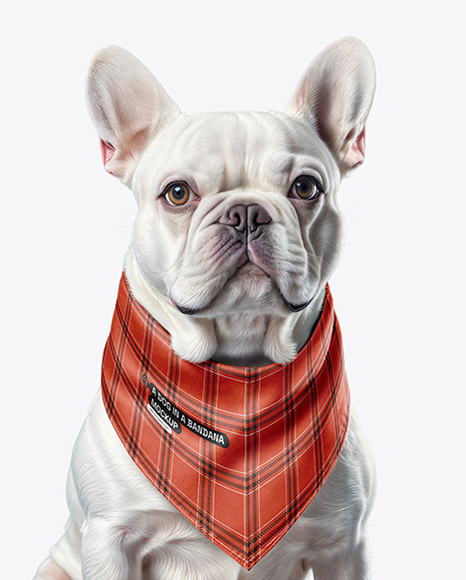 Dog in Bandana Mockup