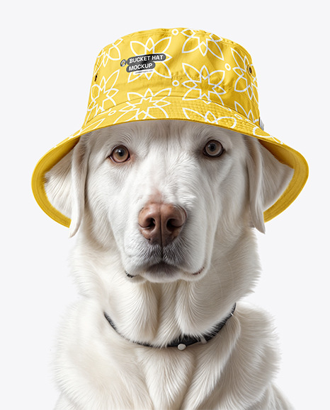 Dog in Bucket Hat Mockup