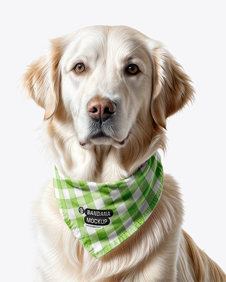 Dog Wearing a Bandana Mockup