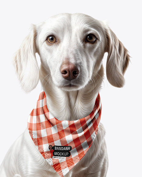 Dog Wearing a Bandana Mockup