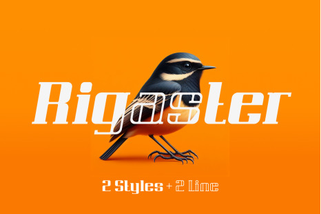 Rigaster Font