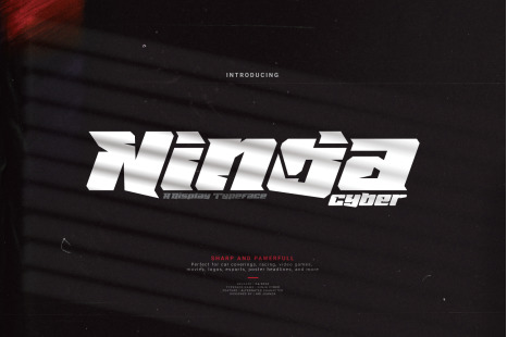 Ninja Cyber Font