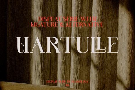 Hartulle Display Font