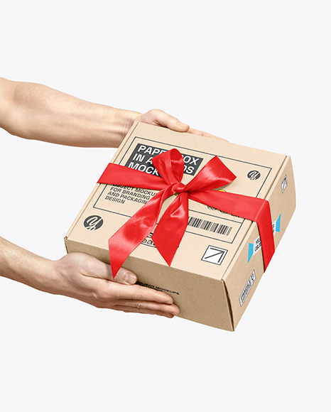 Paper Box in a Hands Mockup