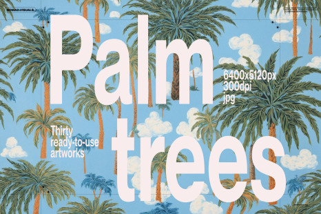 Palm Trees Illustrations