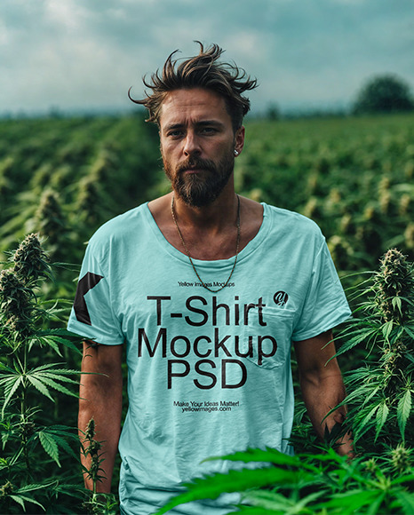 A man Wearing a T-Shirt Stands on a Hemp Field Mockup