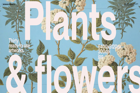 Plants &amp; Flowers Illustrations