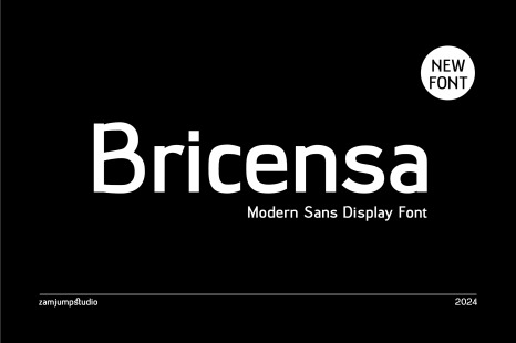 Bricensa - Modern Sans Display