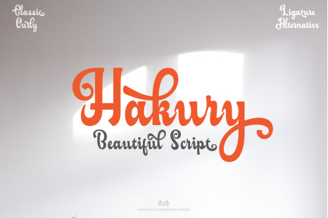 Hakury Script