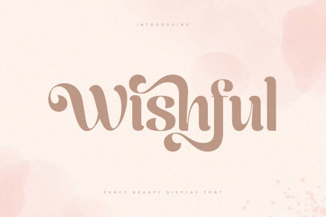 Wishful – Fancy Beauty Display Font