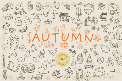 Autumn Hand Drawn Illustrations