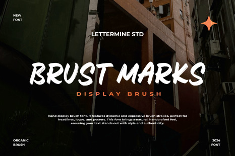 Brust Marks - Display Brush