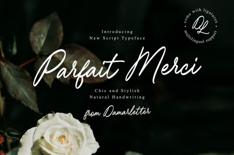Parfait Merci handwriting script