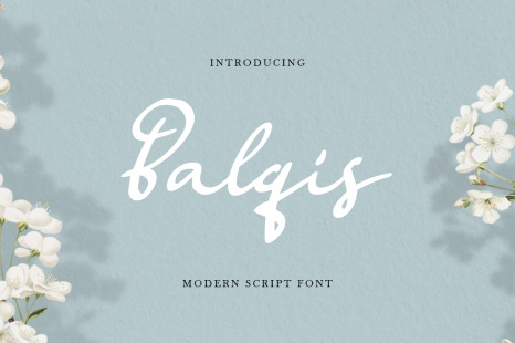Balqis - Handwritten Siganture Modern Script Font