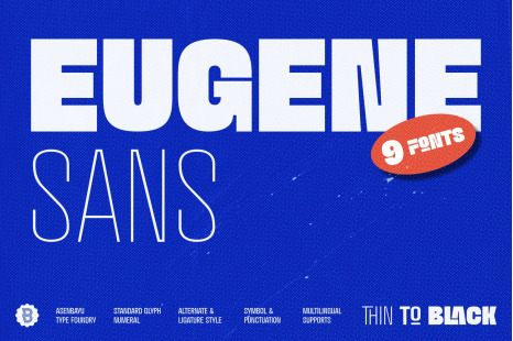 Eugene Sans - Modern Grotesque Sans Serif Fonts