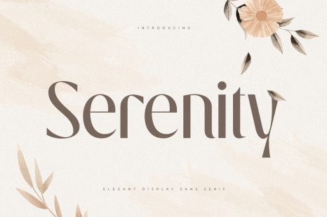 Serenity - Luxury Elegant Beauty Font