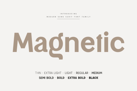 Magnetic Modern Sans Serif Family