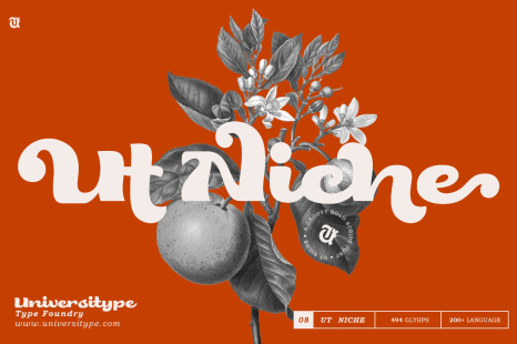 UT Niche - A Groovy Bold Script Font