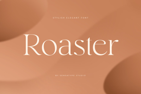 Roaster - Stylish Elegant Font