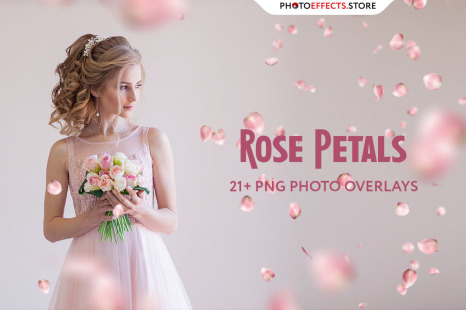 21 Rose Petal Photo Overlays