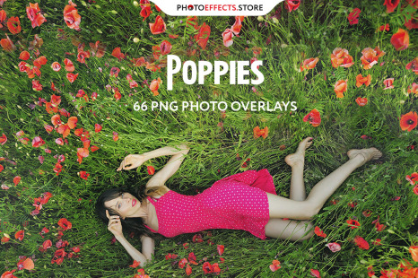 66+ Poppie Flowers Photo Overlays