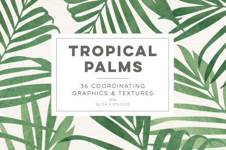 Tropical Palms - 36 Coordinating Graphics &amp; Textures