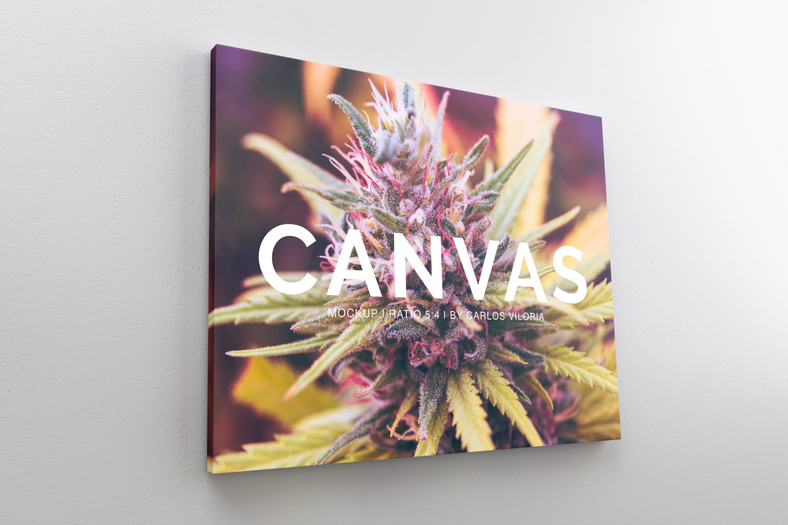 Landscape Canvas Ratio 5x4 Mockup 01 In Indoor Advertising Mockups On Yellow Images Creative Store