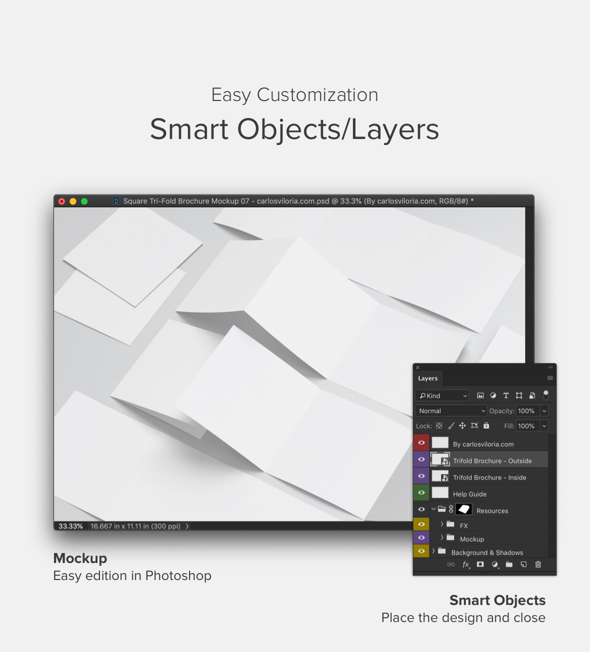 Adobe Dimension Brochure Mockup