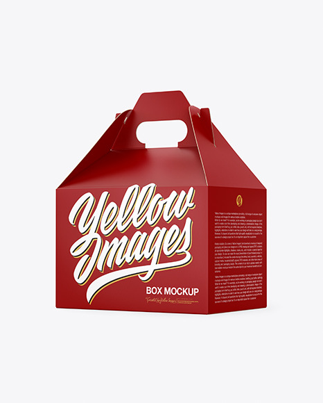 Matte Paper Box with Handle PSD #2