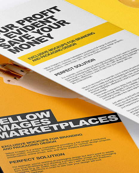 Two Brochures Mockup PSD #1