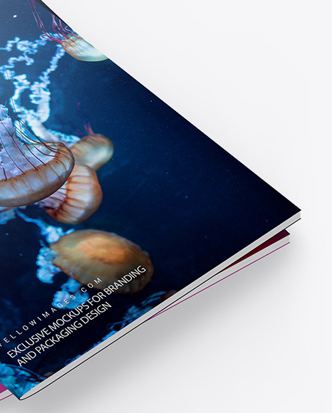 Two Glossy A4 Magazines Mockup PSD #6