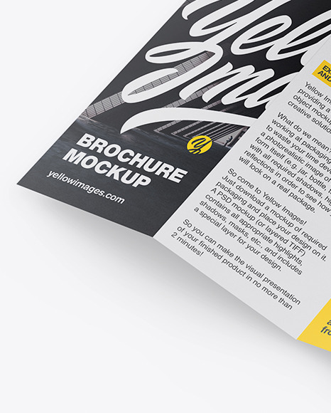 Brochure Mockup Download Free