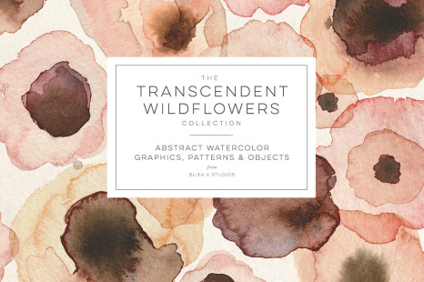 The Transcendent Wildflower Collection