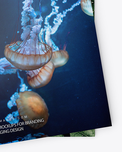 Two Glossy A4 Magazines Mockup PSD #6