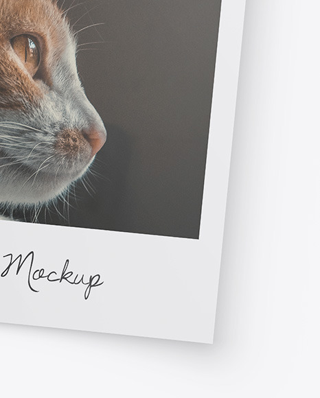 Snapshot w  Pin Mockup PSD #6