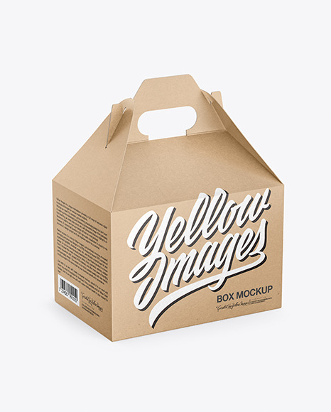 Kraft Paper Box with Handle PSD #2