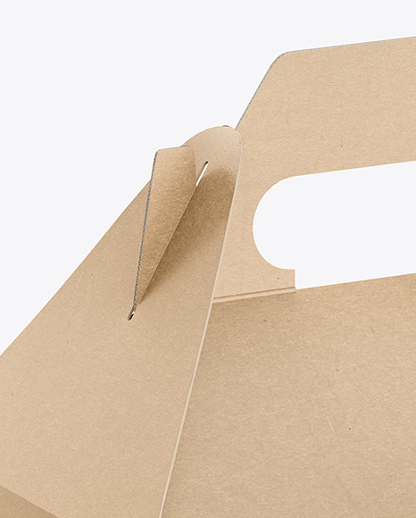 Kraft Paper Box with Handle PSD #3