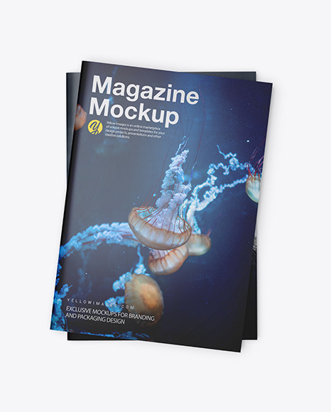 Two Glossy A4 Magazines Mockup