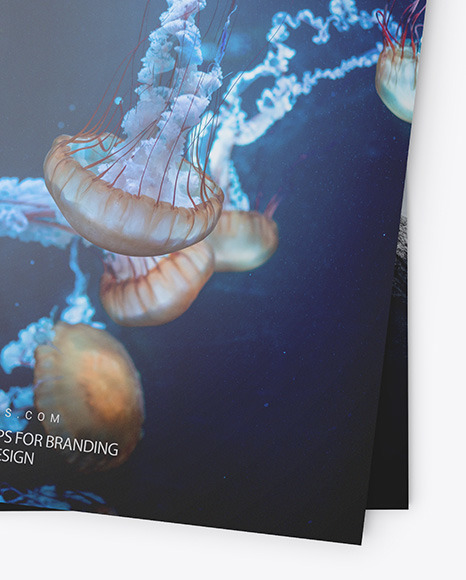 Two Glossy A4 Magazines Mockup PSD #7