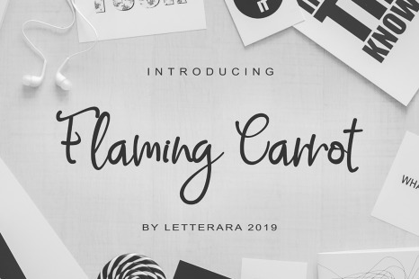 Flaming Carrot