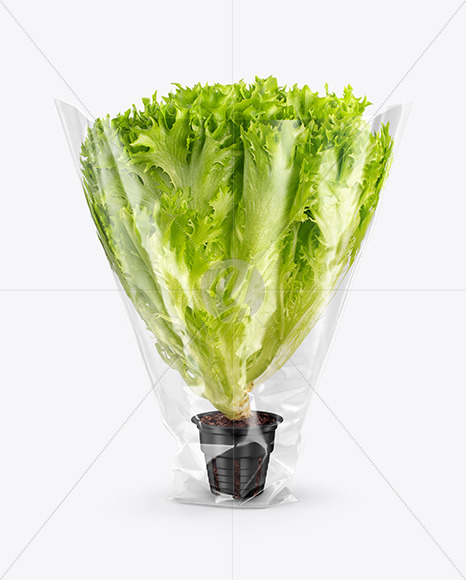 Download Plastic Bag With Salad Mockup In Bag Sack Mockups On Yellow Images Object Mockups