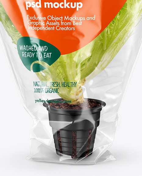 Download Plastic Bag With Salad Mockup Yellowimages