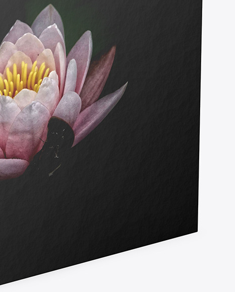 Book w  Matte Cover Mockup   High Angle View PSD #1