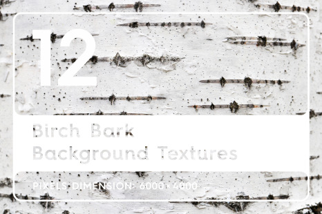 12 Birch Bark Background Textures