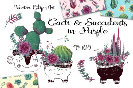 Cacti &amp; Succulents in purple